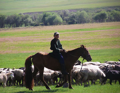 Mongolia nomad family homestay